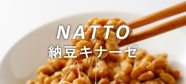 納豆キナーゼ