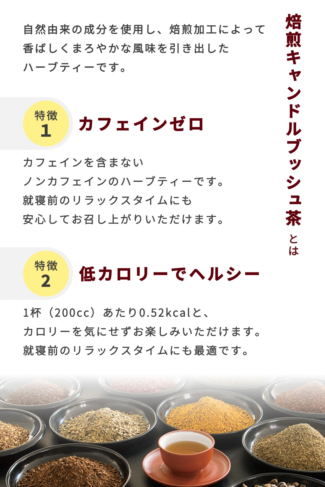 キャンドルブッシュ 焙煎キャンドルブッシュ茶 エビスグサの種子 ギムネマ 桑葉 杜仲葉 ローズヒップ オリジナル ブレンド 16包 ダイエット 便秘