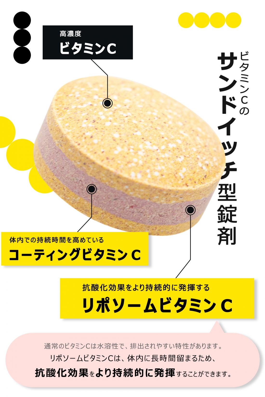 【QVC紹介商品・藤本スバル初監修】Lamelux Claire 栄養機能食品 藤本スバル×愛粧堂 ラメラックスクレール ビタミンC