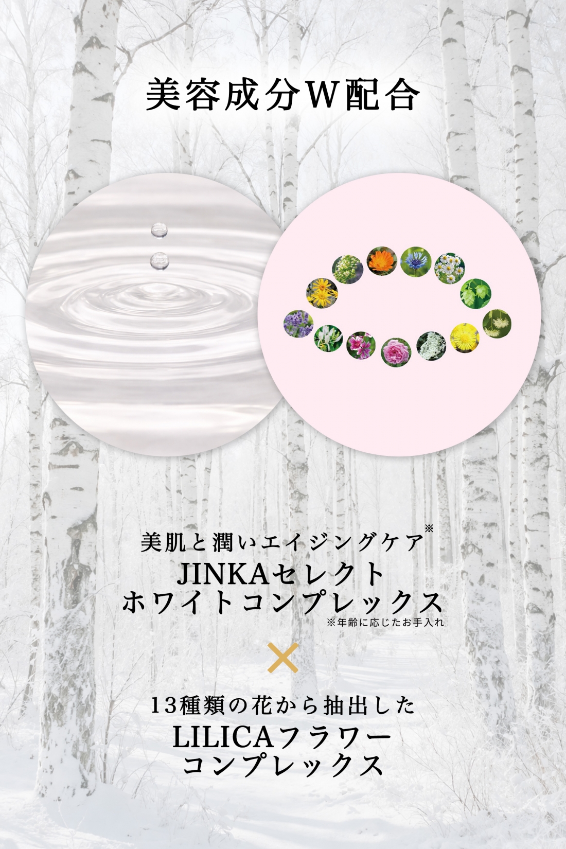 美人＋　ビューティークレンジングシート