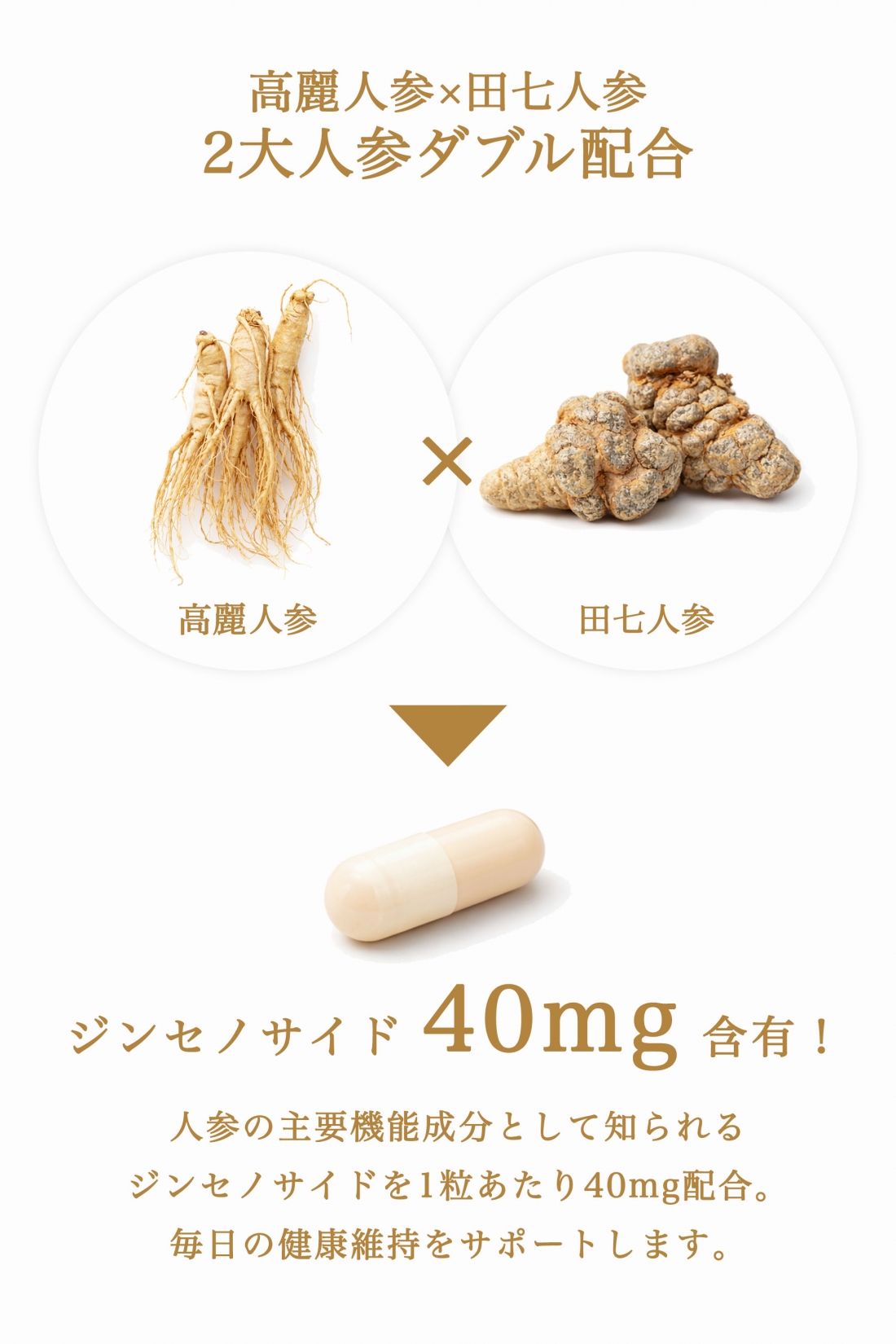 保阪流極 保阪NINJIN