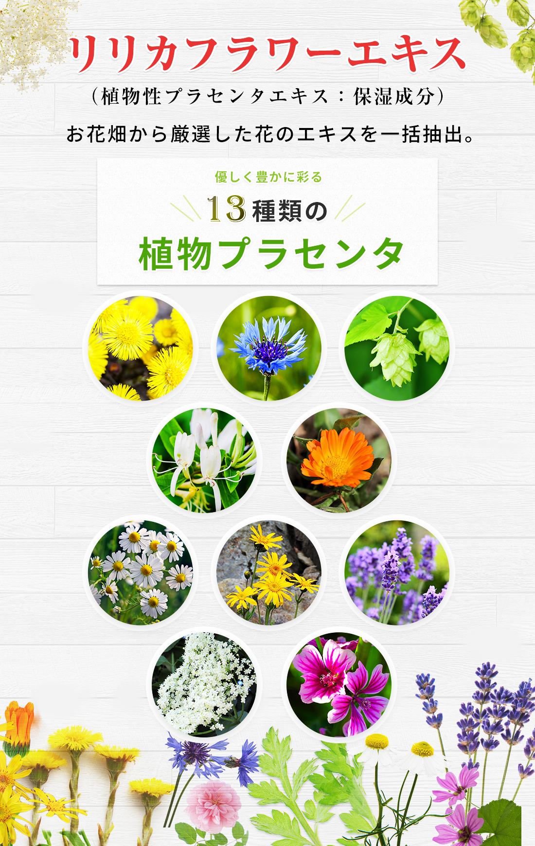リリカフラワーエキス（植物性プラセンタエキス）お花畑から厳選した花を一括抽出。13種類の植物プラセンタ。